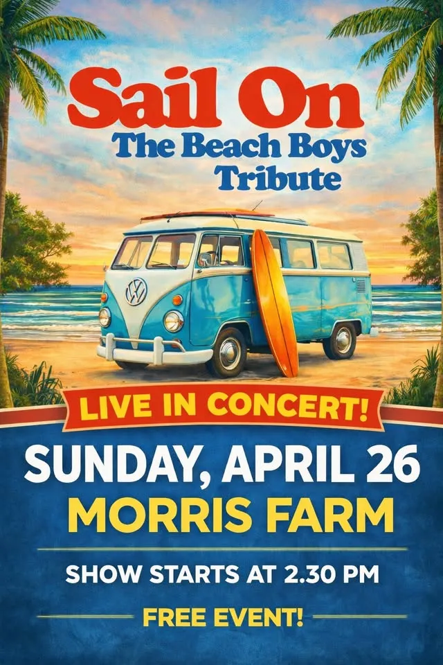 Sail On The Beach Boys Tribute