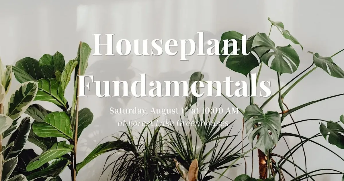 Houseplant Fundamentals