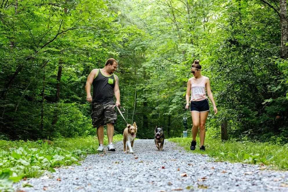 Hikes at Bluefield City Park
