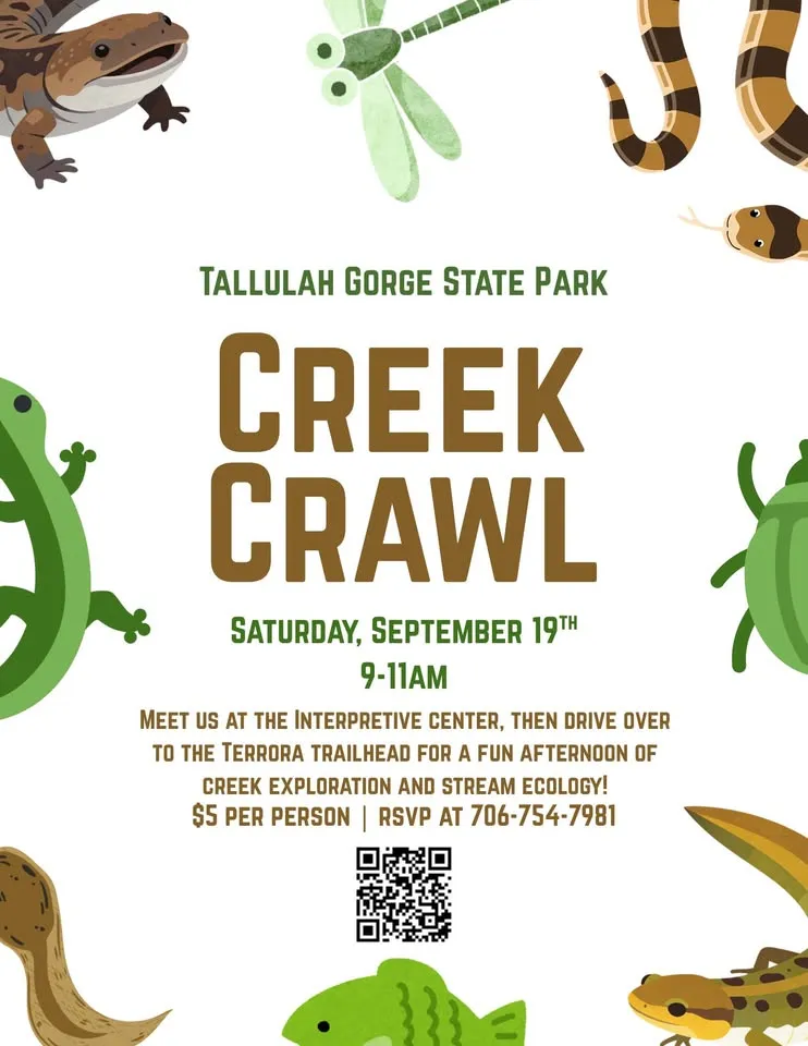 Creek Crawl