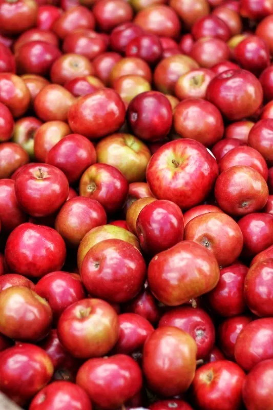 Moyock Farm Market