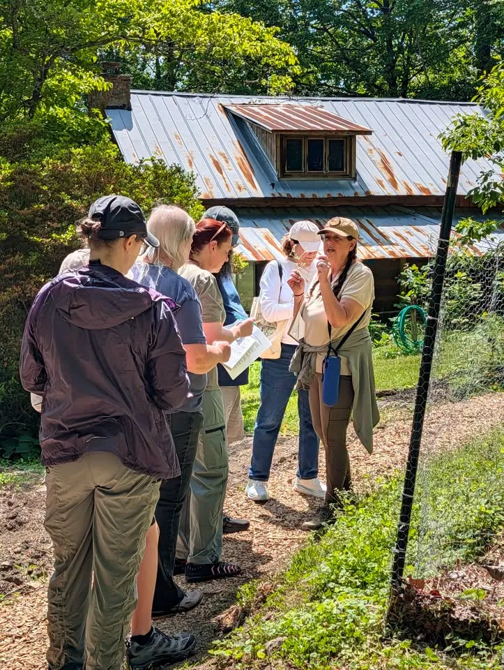 Native and Invasive Plant Walk with Michelle Withrow