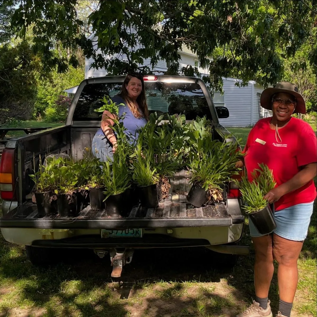 Pollinator Gardening Day
