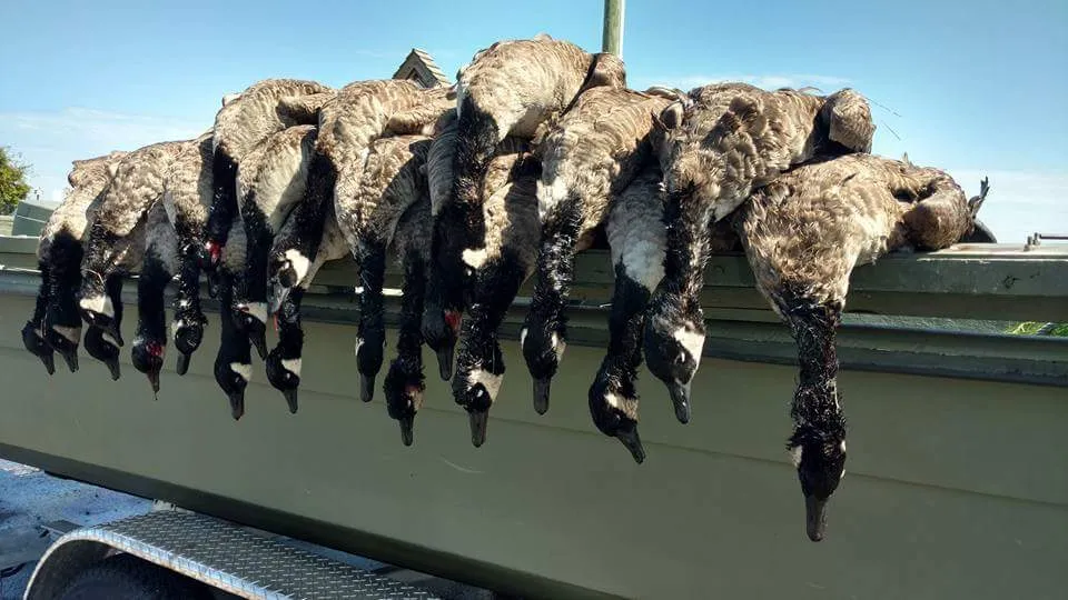Fourth Generation Outfitters