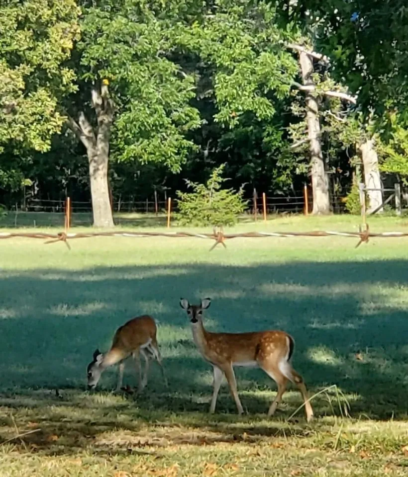 COBB RV PARK