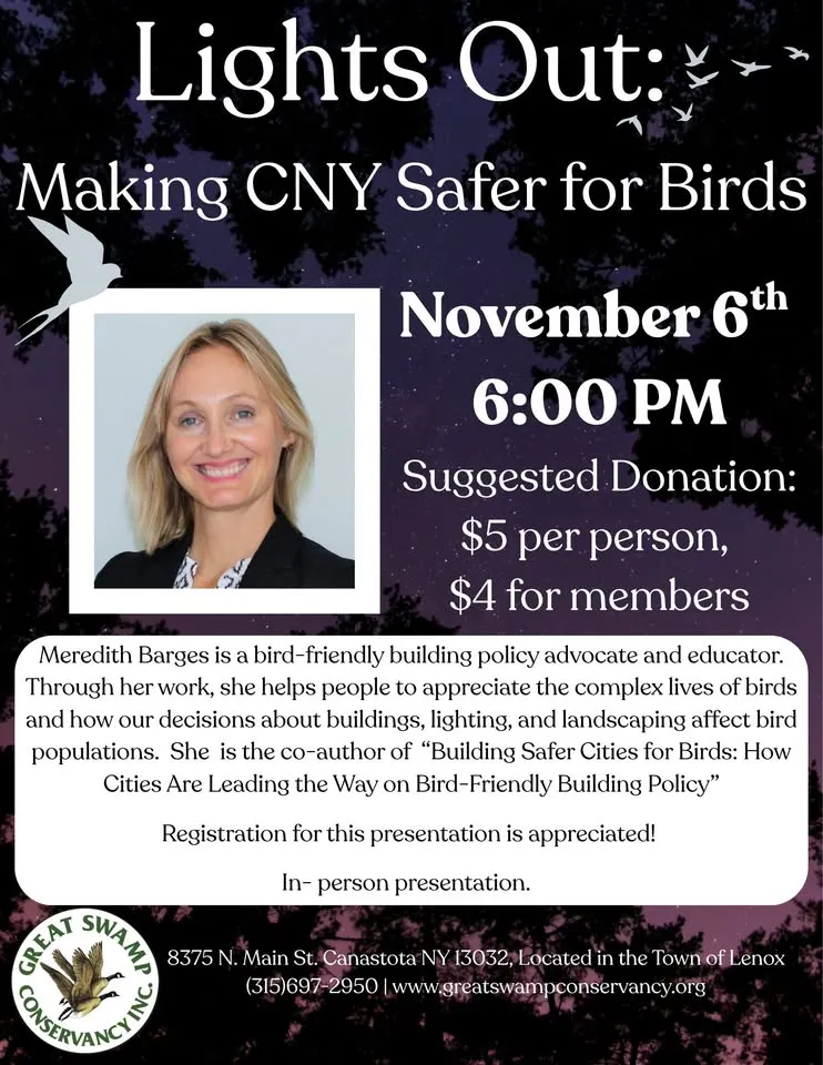 Lights Out: Making CNY Safer for Birds