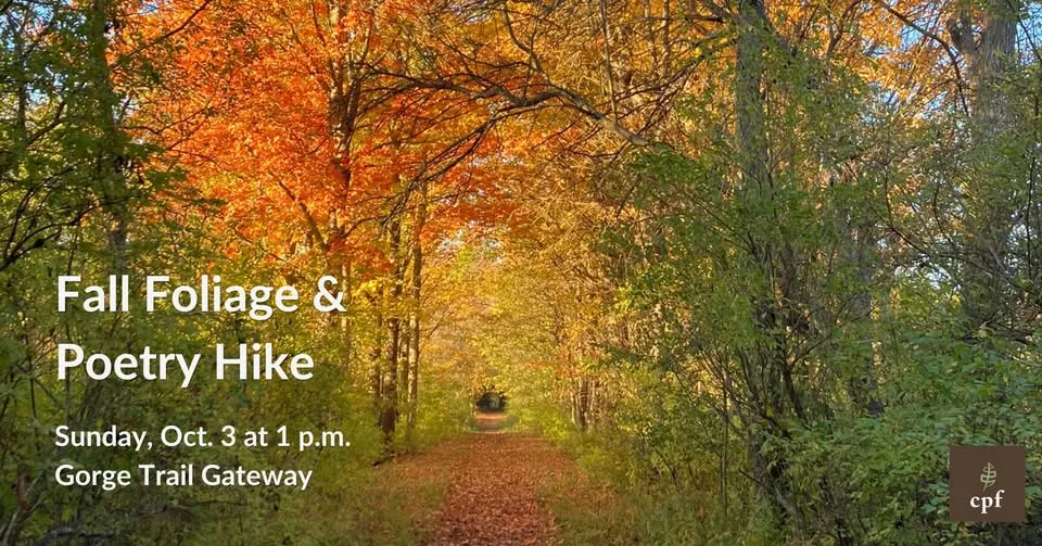 Fall Foliage & Poetry Hike