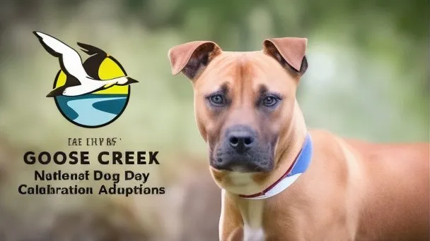 National Dog Day Celebration Adoptions