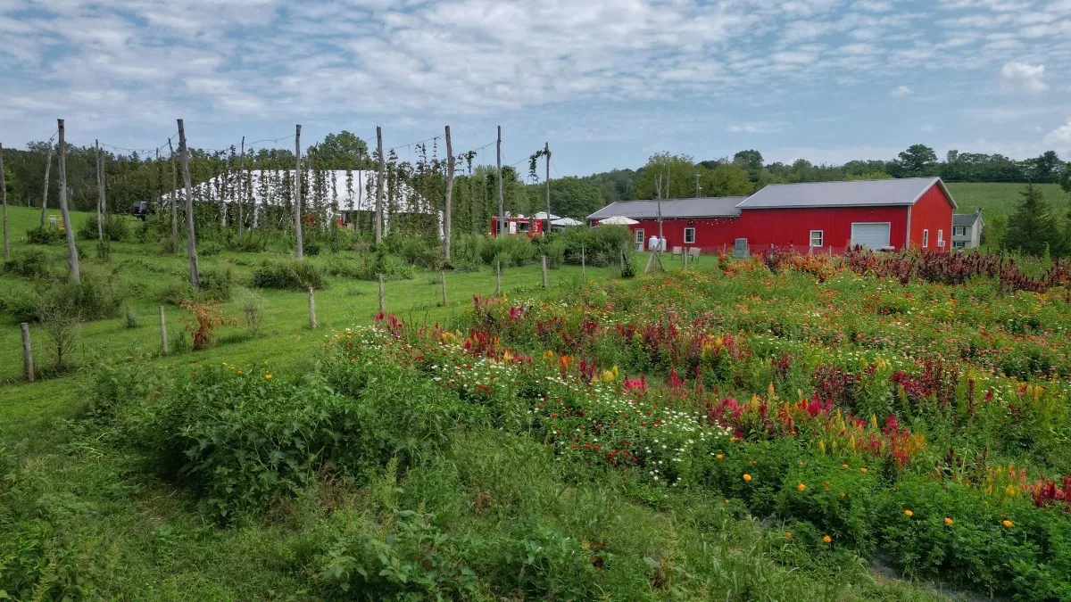 Live Music @ Long Lot Farm Brewery