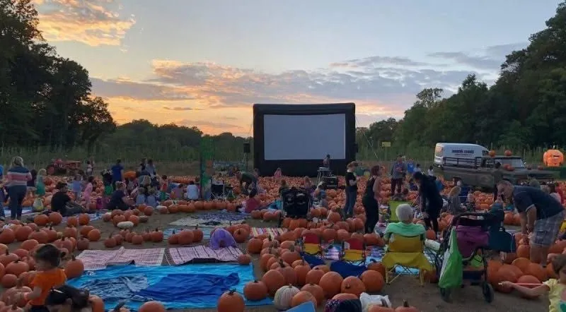 Movie Night at the Farm