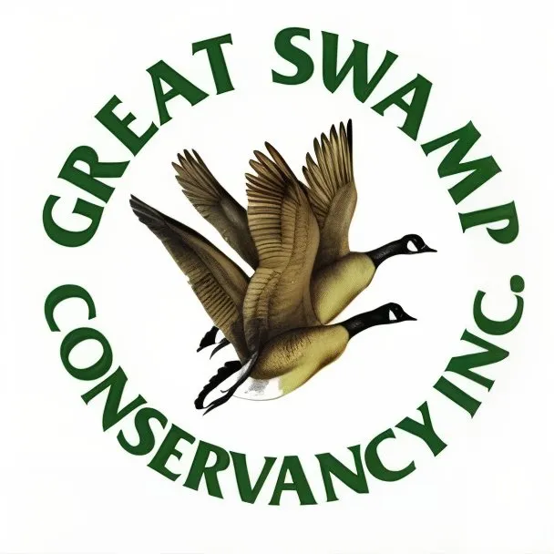 Great Swamp Fall Migration Festival