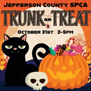 Trunk-Or-Treat!