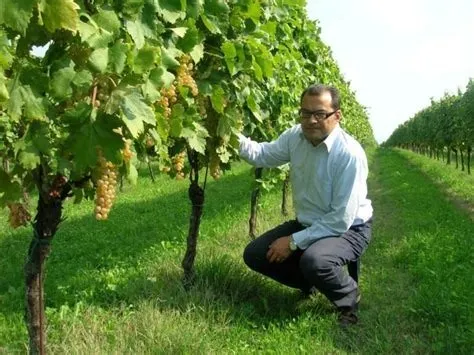 The Veneto Italian Table Experience and In-Shop Wine Tasting with Sisto Tessari