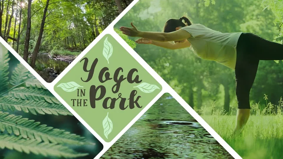 Yoga in the Park
