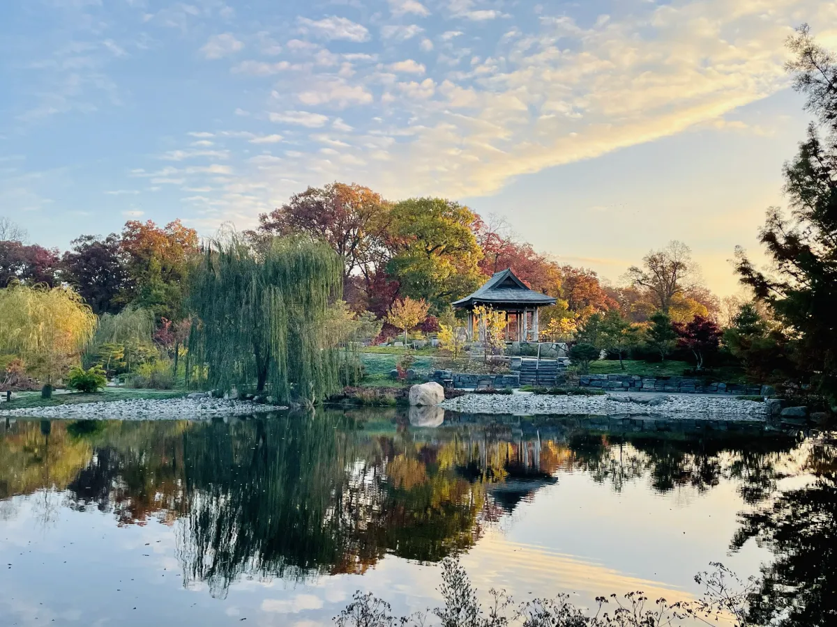 Fiber Retreat at the Wellfield Botanic Gardens