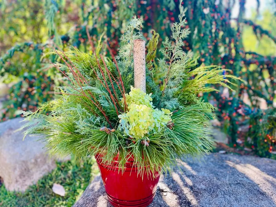 Decorative Winter Planter Workshop