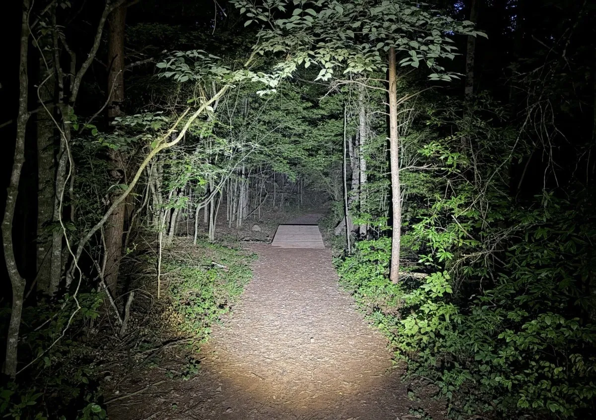 Full Moon Hike