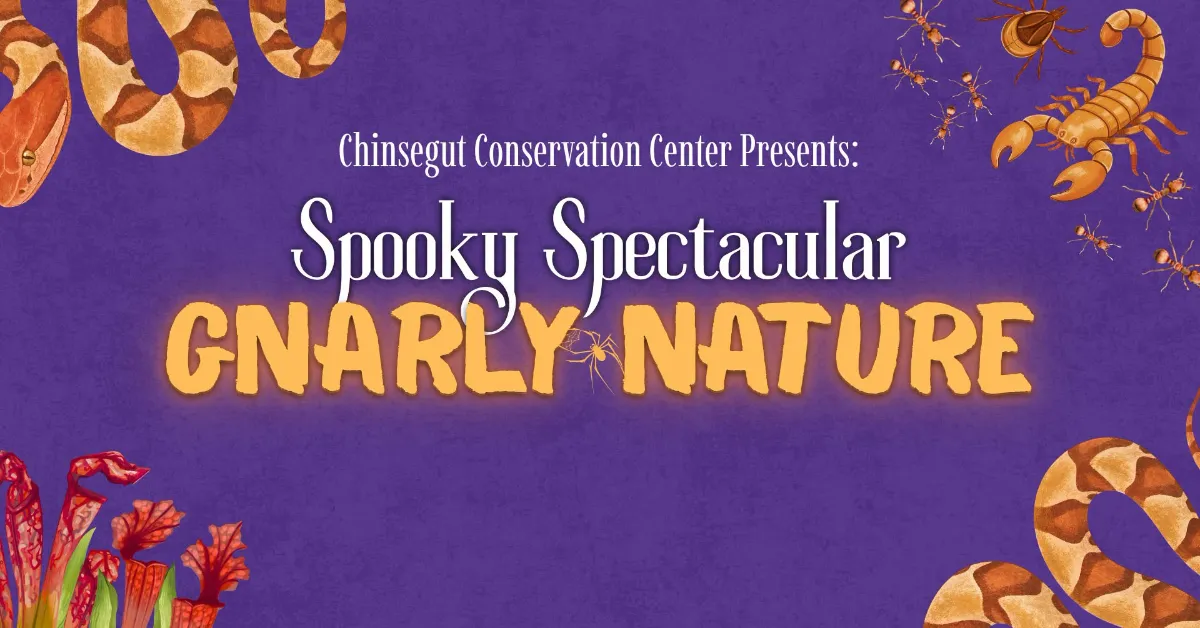 Spooky Spectacular Fall Festival