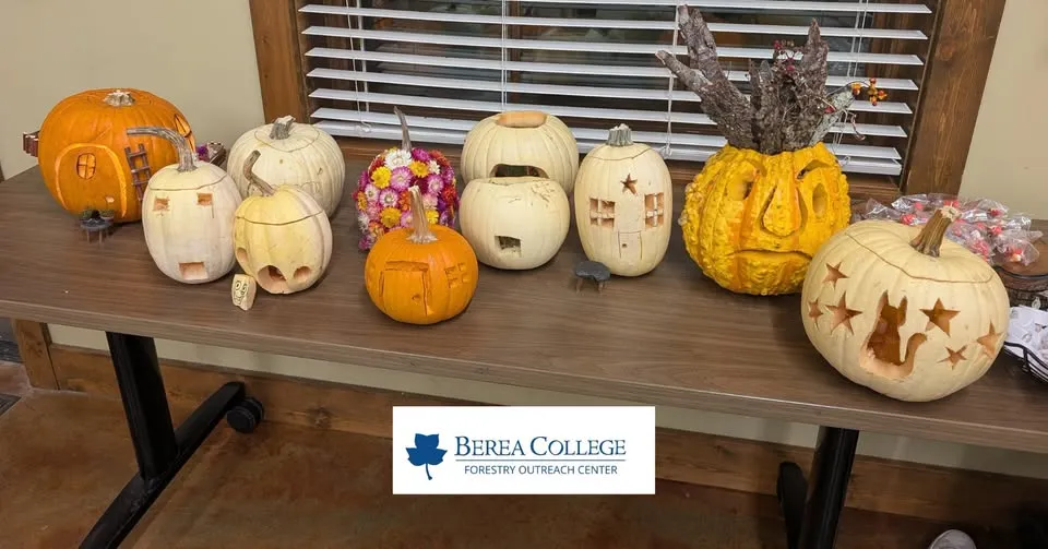 Family Activity: Pumpkin Carving
