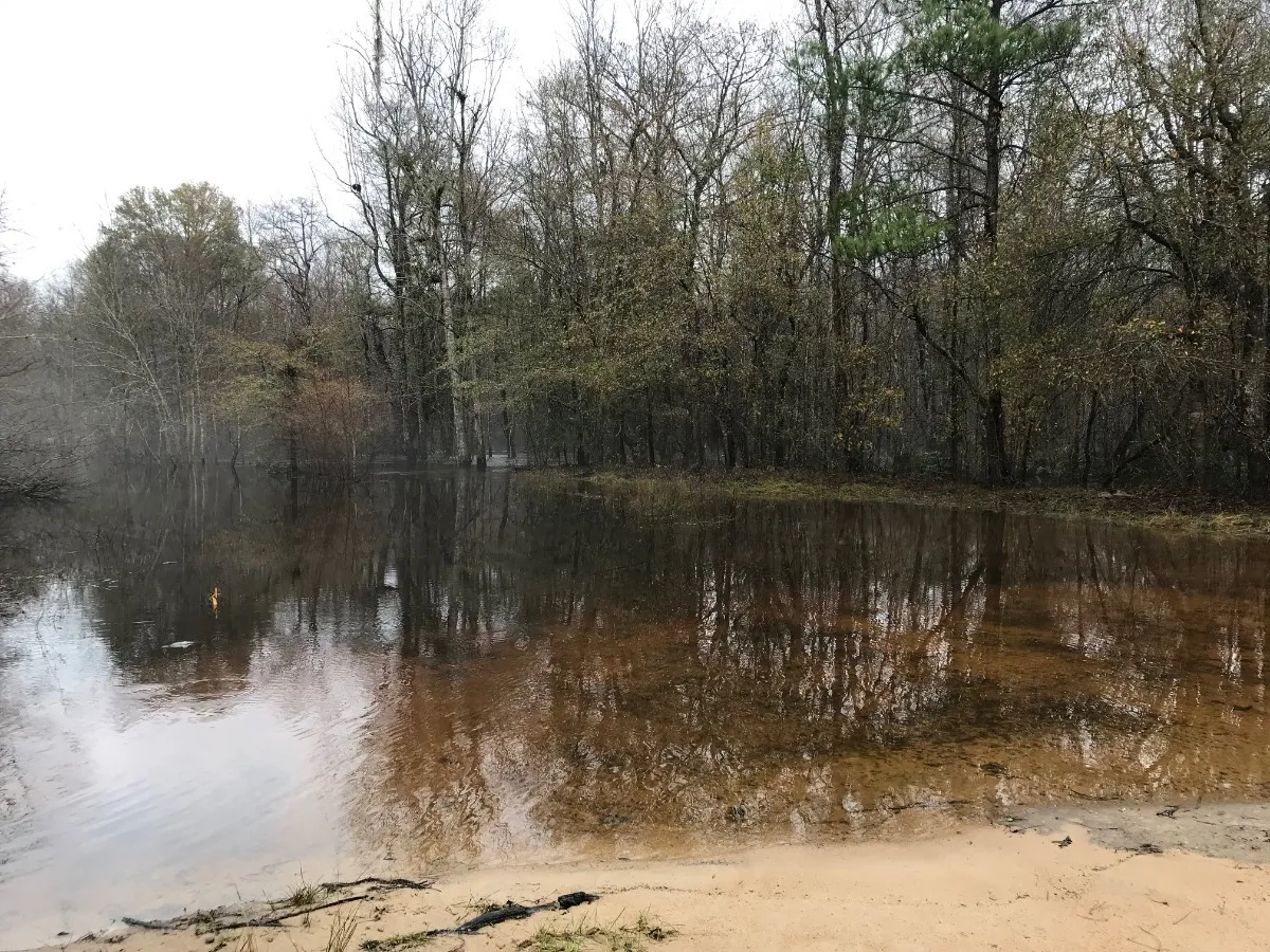 Bennie Landing