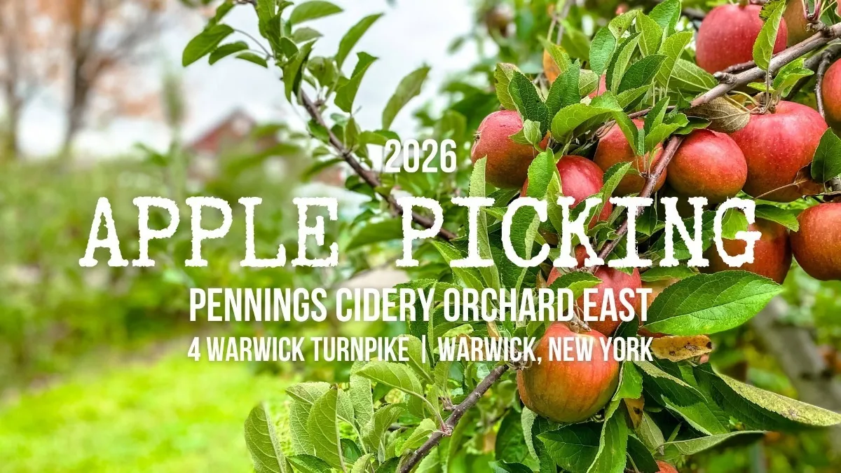 Apple Picking at Pennings Cidery Orchard East