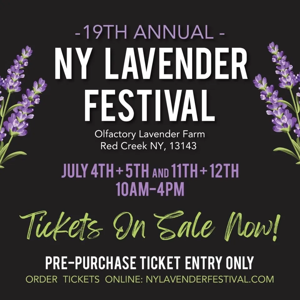 NY Lavender Festival