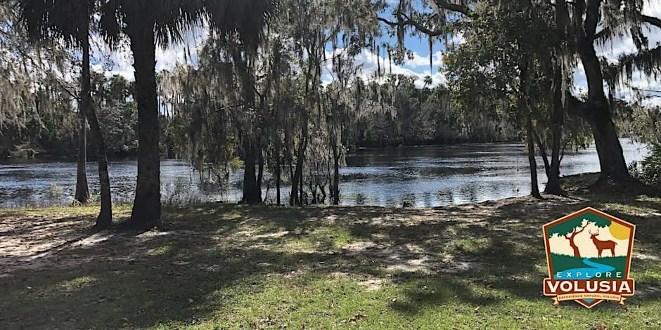 Riverbend Preserve Eco-buggy Tour
