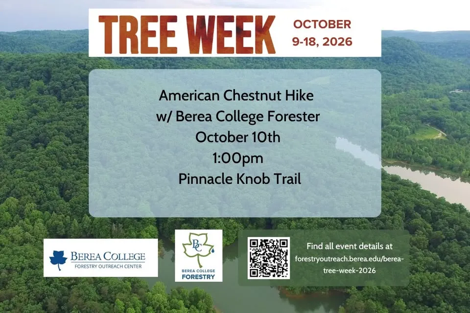 American Chestnut Hike