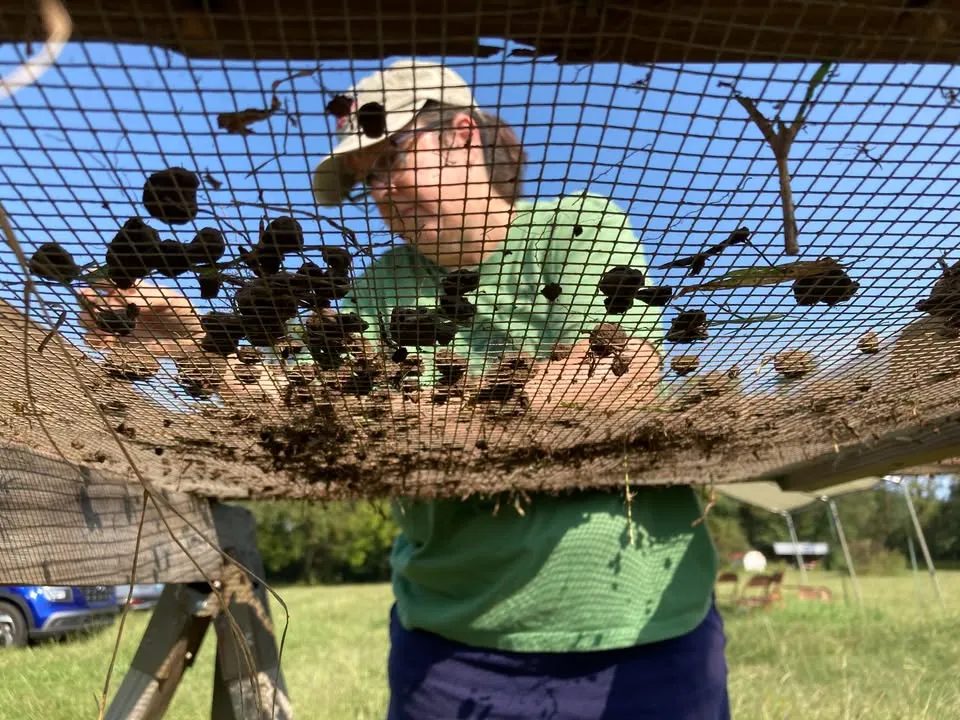 Public Dig Day - registration closed