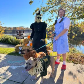 Pumpkins and Pooches