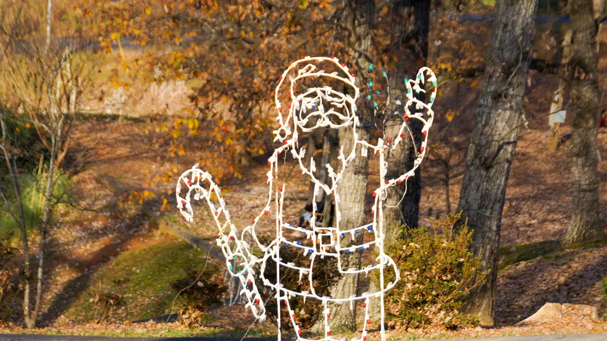 Christmas in the Park Light Extravaganza