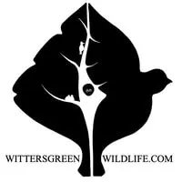 Wittersgreen Wildlife