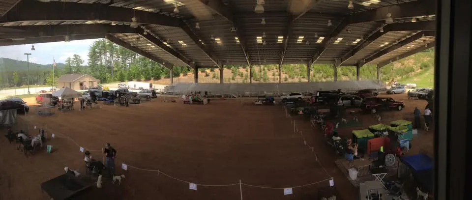 Dogwood Summer Classic
