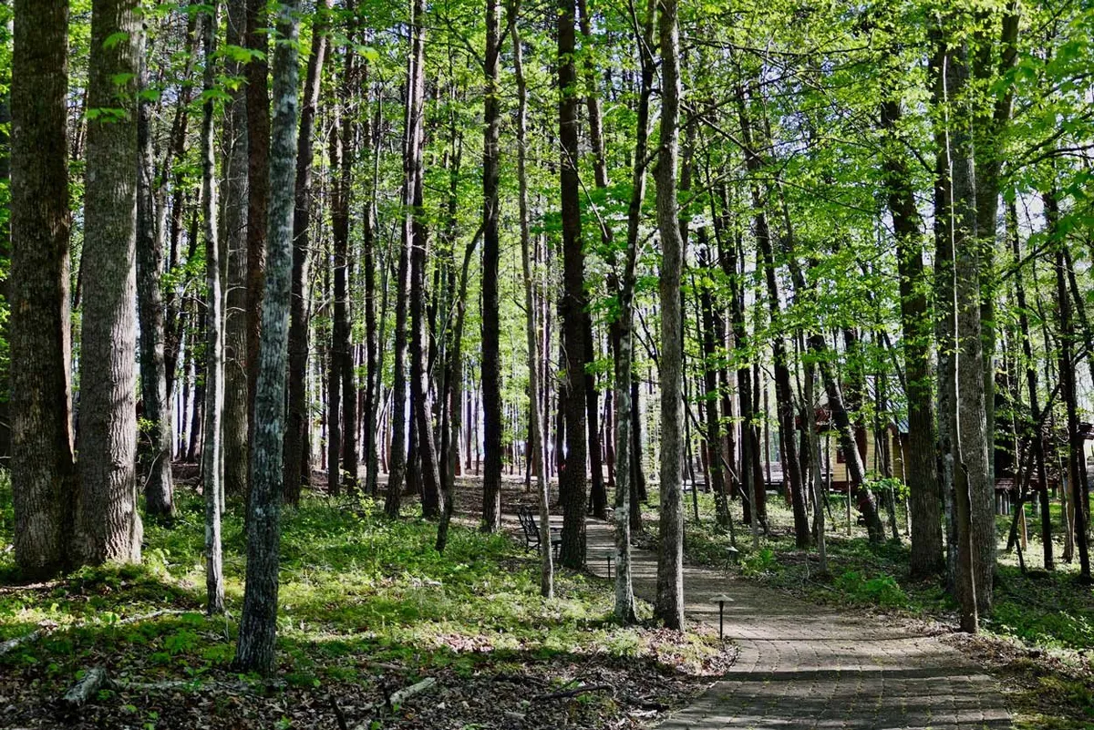Silent Retreat