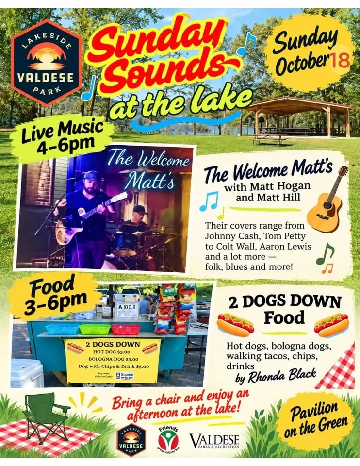 Sunday Sounds - The Welcome Matt's & 2 Dogs Down at VLP
