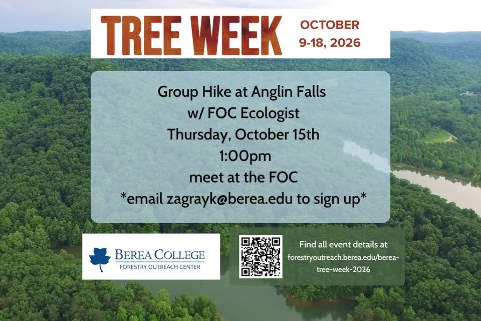Group Hike at Anglin Falls
