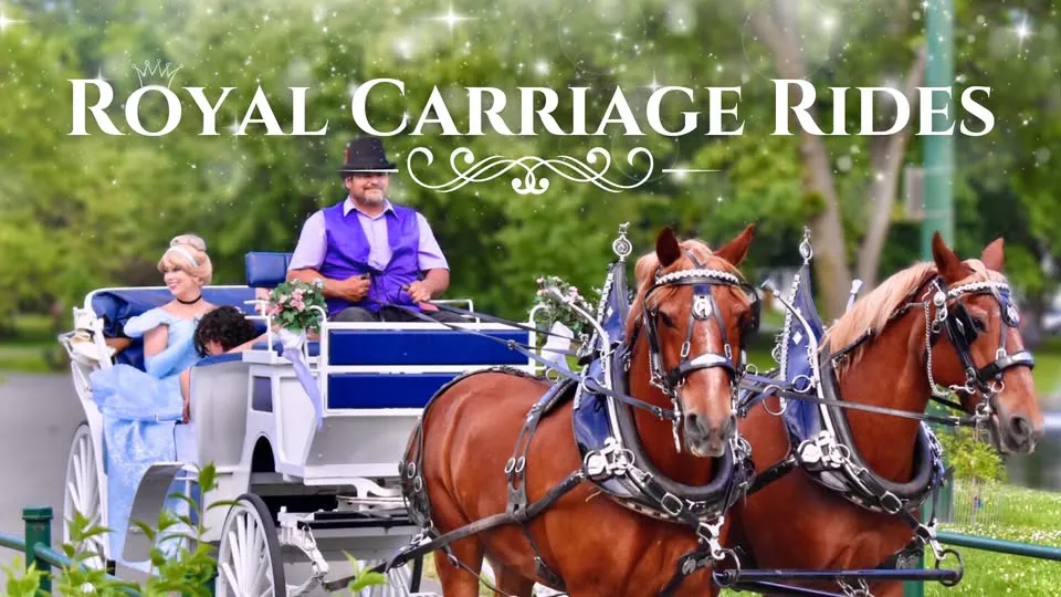 Single Event Royal Carriage Rides with Cinderella!🎠👑