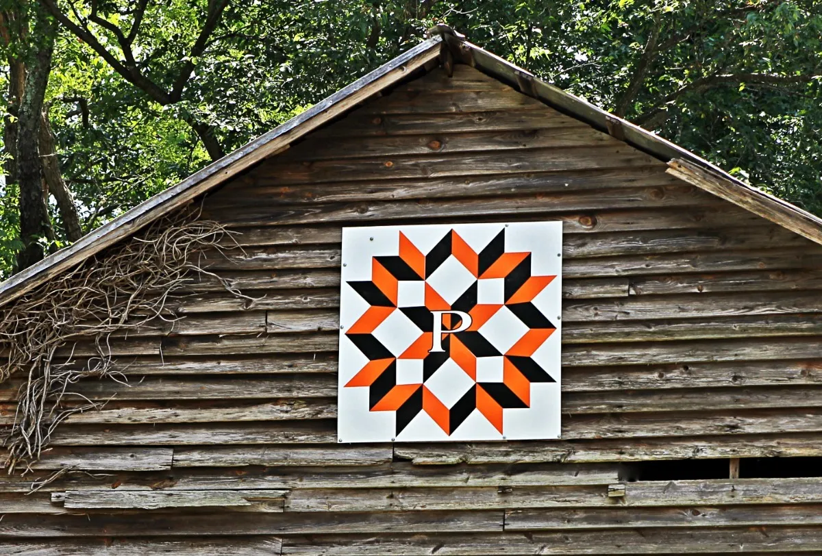 Quilt Trail Square - Perkins Ostrich Farm