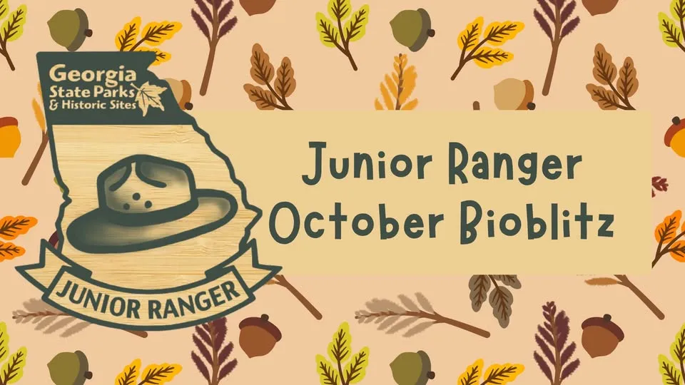 Junior Ranger October Bioblitz