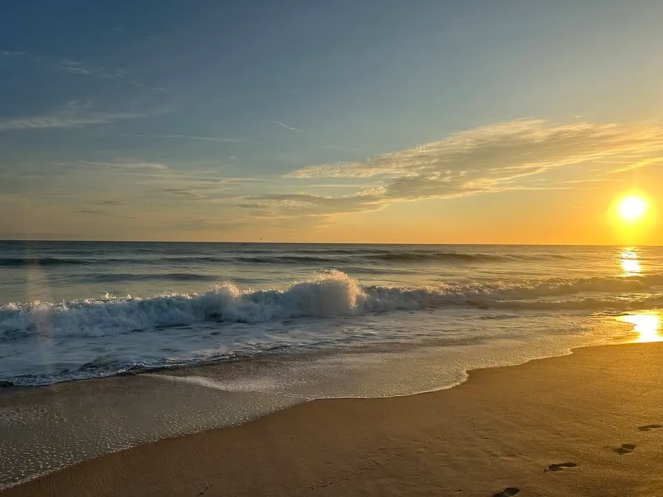 SEASHORE 101 (Playalinda District)