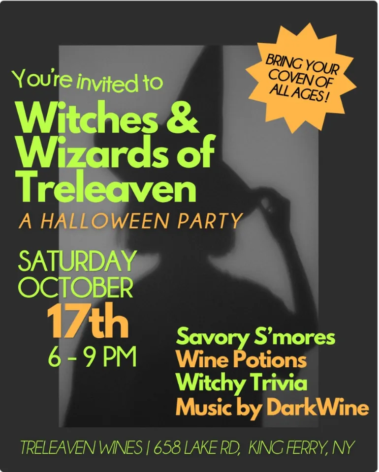 Witches and Wizards of Treleaven Halloween Party