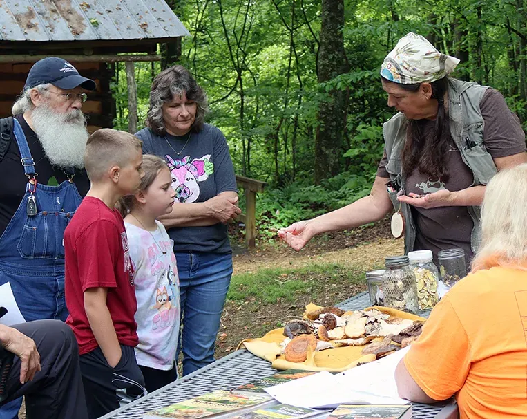 Edible Plant Walk