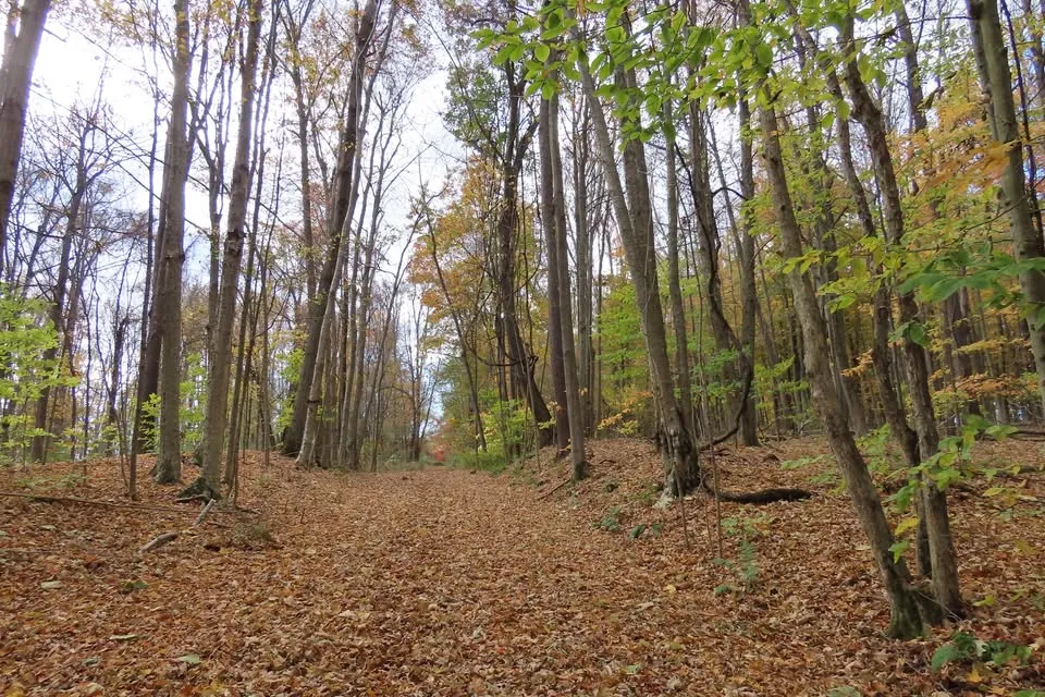 Single Event Happy Hikers, every Monday & Friday, 10:00 AM – 12:00 PM at the Sterling Nature Center