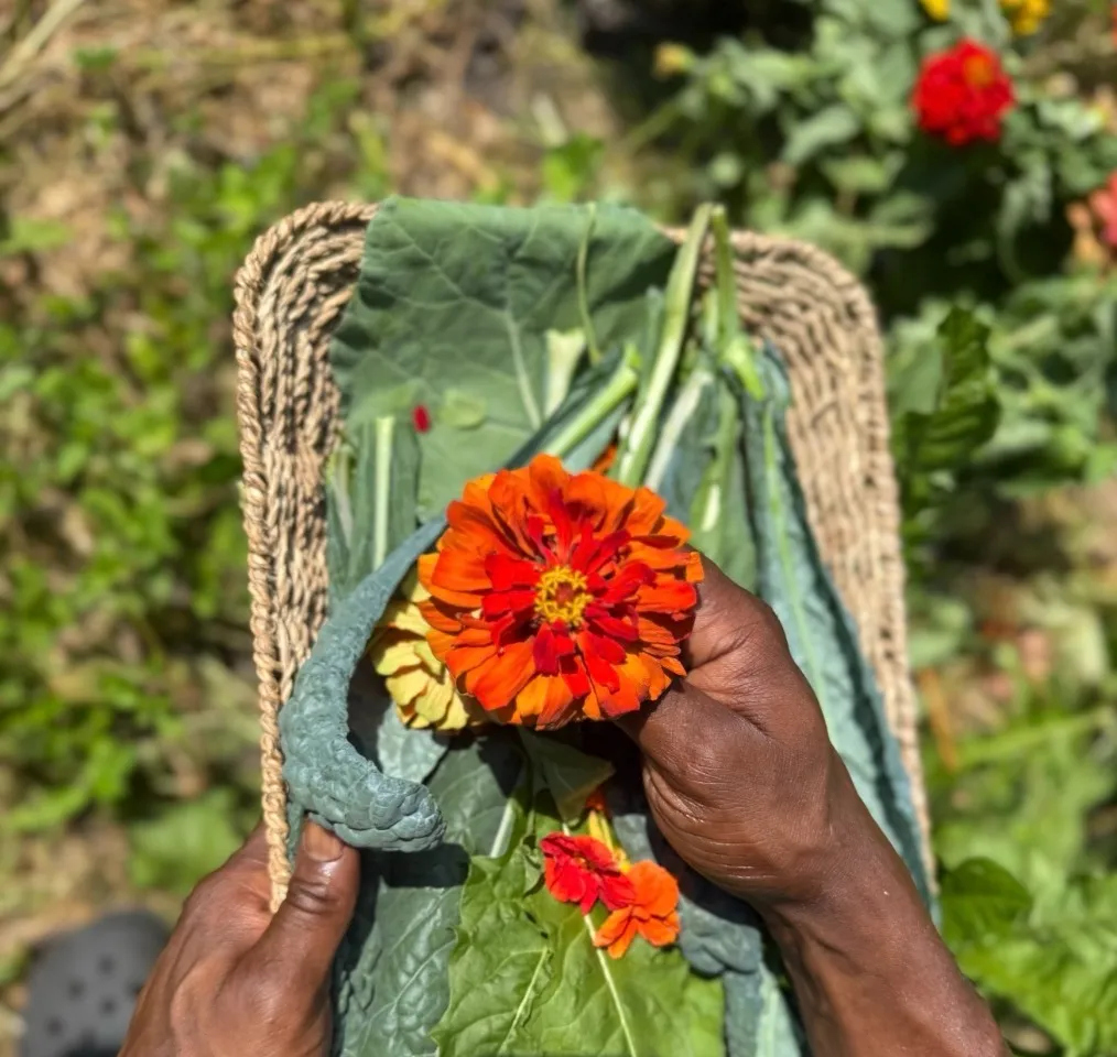 Fable & Sow Theatre Farm