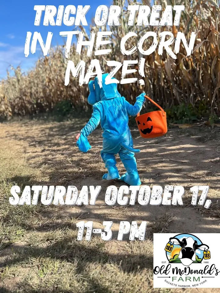Trick or Treat in the Corn Maze
