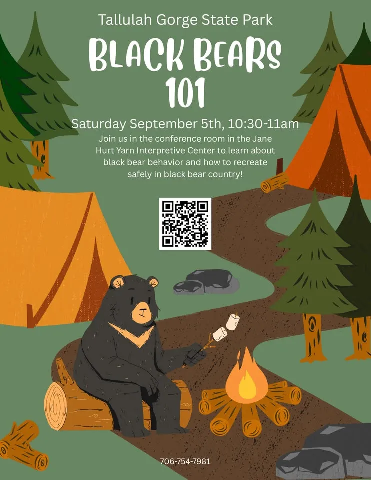 Black Bears 101