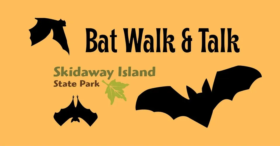 Bat Walk & Talk
