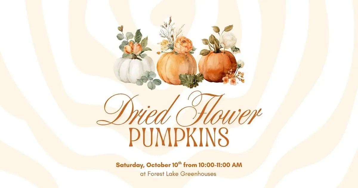 Dried Flower Pumpkin Workshop
