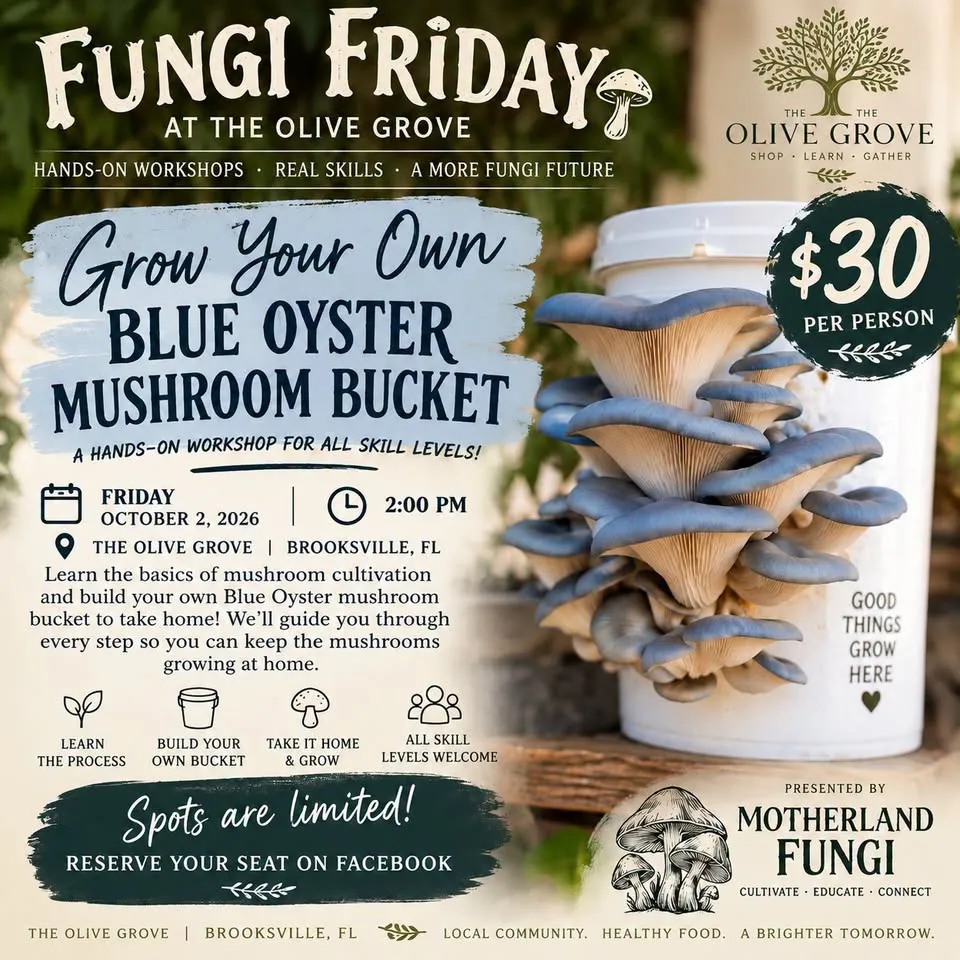 Fungi Friday - Grow Your Own Blue Oyster Mushroom Bucket