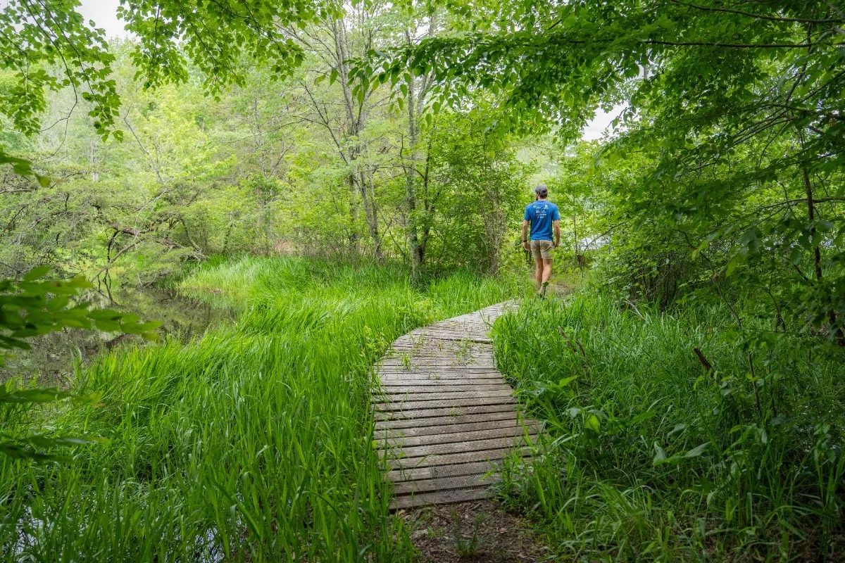 Lake Reidsville Yellow Trail